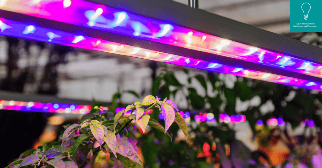 Lighting in Horticulture