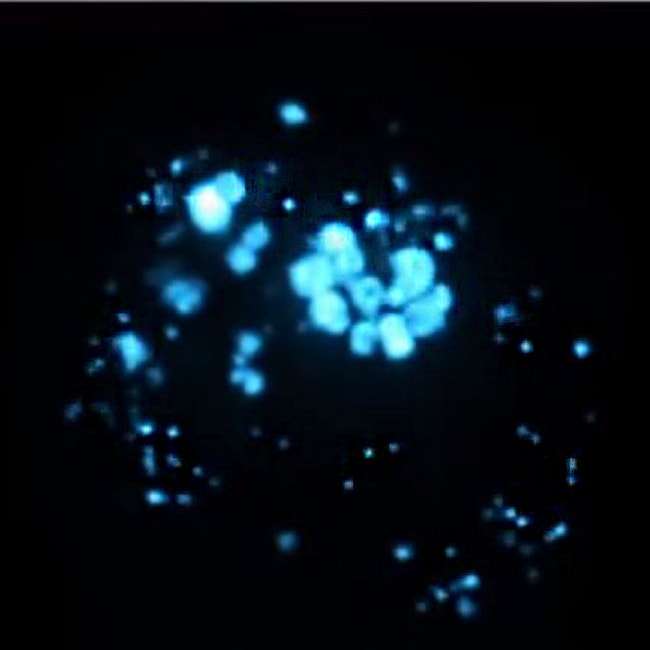 Use of Adaptive Optics in Microscopy | SphereOptics